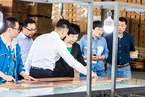 County Mayor Wang Qinying visited our company for investigation